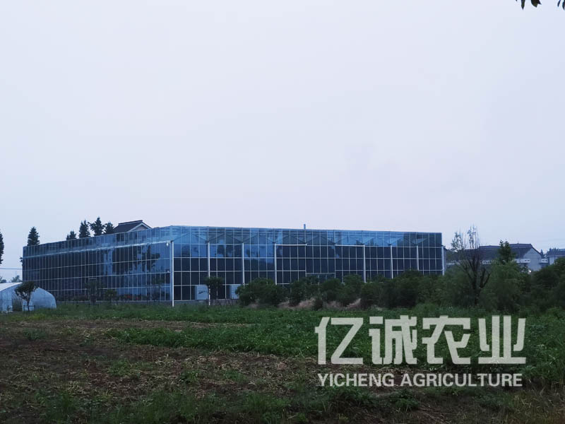 智能溫室大棚建設(shè)廠家