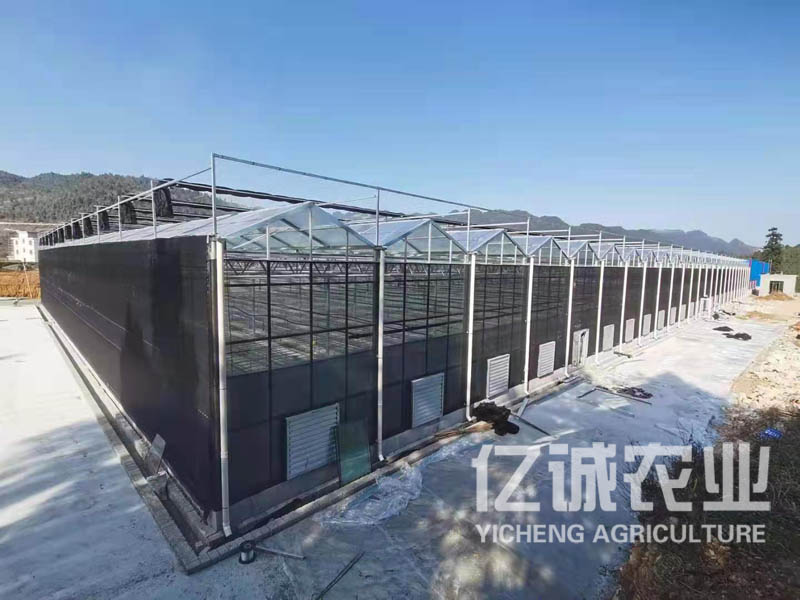 智能玻璃溫室工程建設(shè)